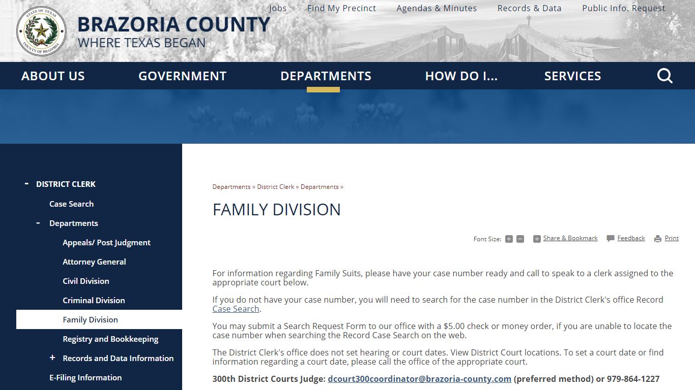 Family Division | Brazoria County, TX